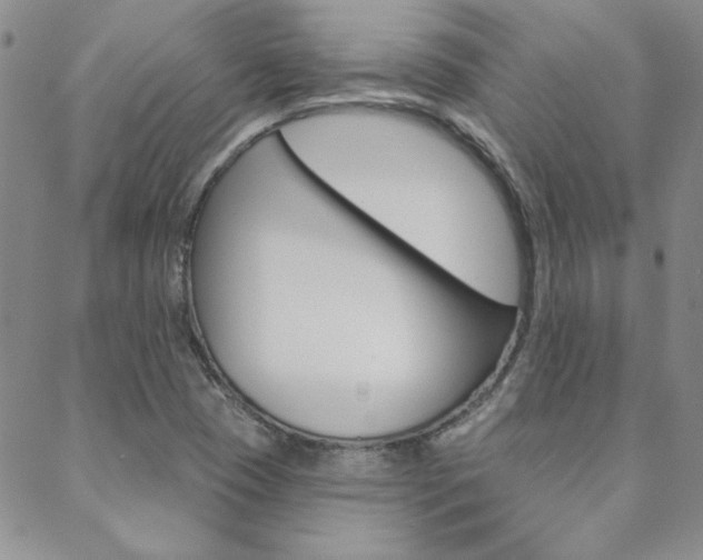 X0000088851409200706080714
