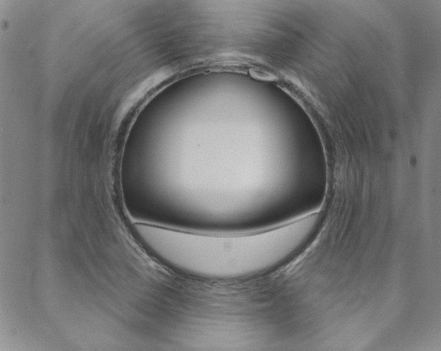 X0000088851410200706080714