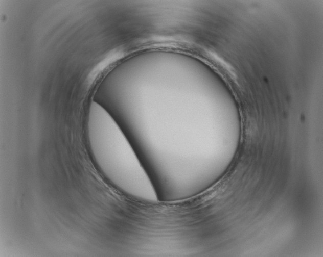 X0000088851411200706080714