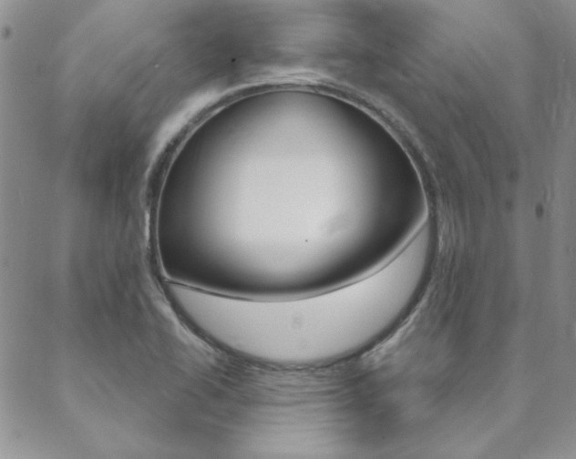 X0000088851414200706080714