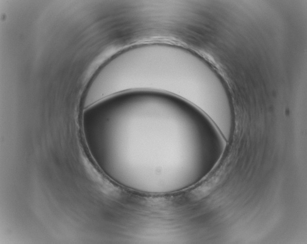 X0000088851422200706080714