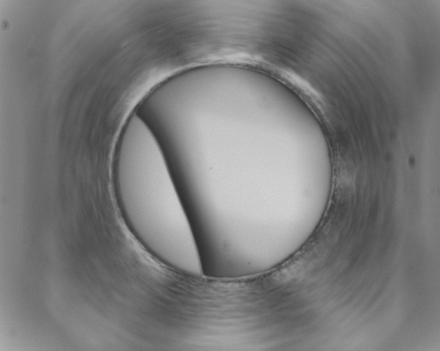 X0000088851423200706080714