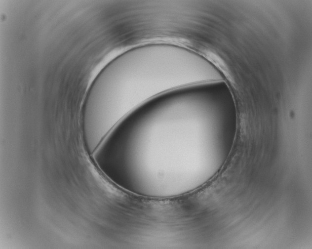 X0000088851428200706080714