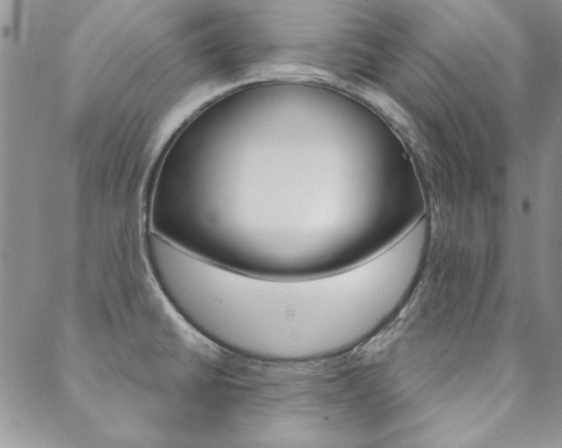 X0000088851430200706080714