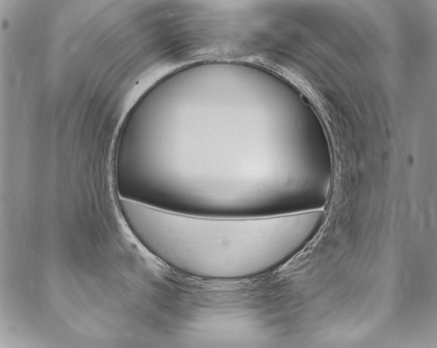 X0000088851440200706080714