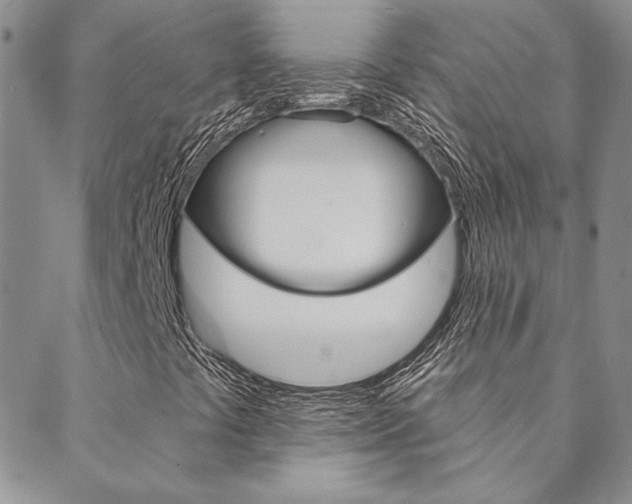 X0000088851441200706080713