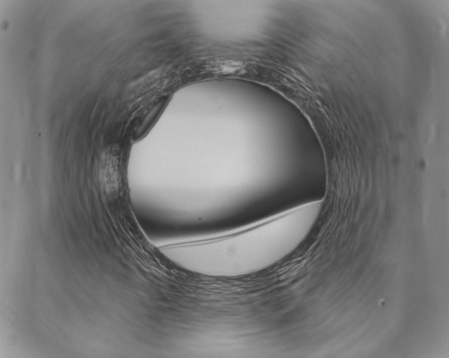 X0000088851442200706080713