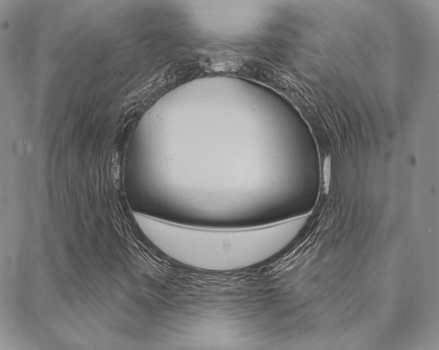 X0000088851443200706080713
