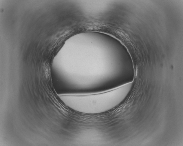 X0000088851444200706080713