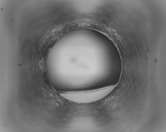 X0000088851445200706080713