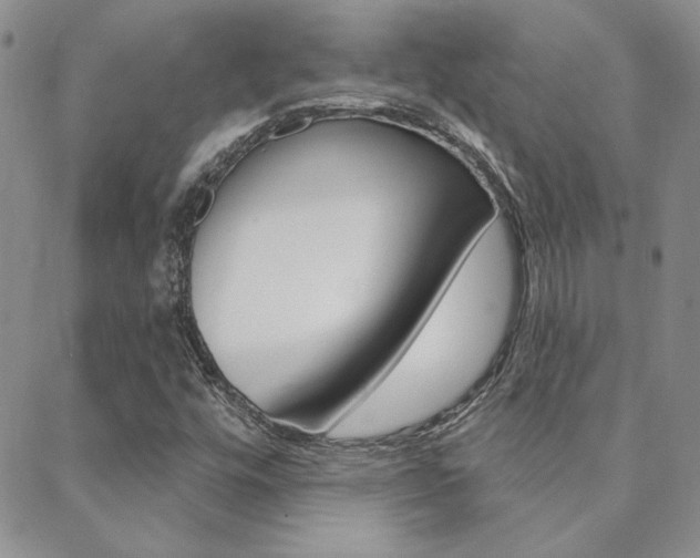 X0000088851448200706080713
