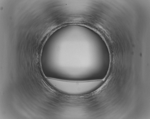 X0000088851449200706080713