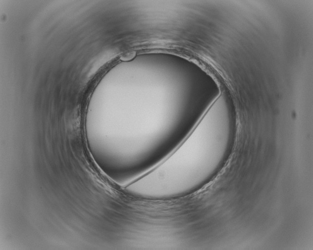 X0000088851450200706080713