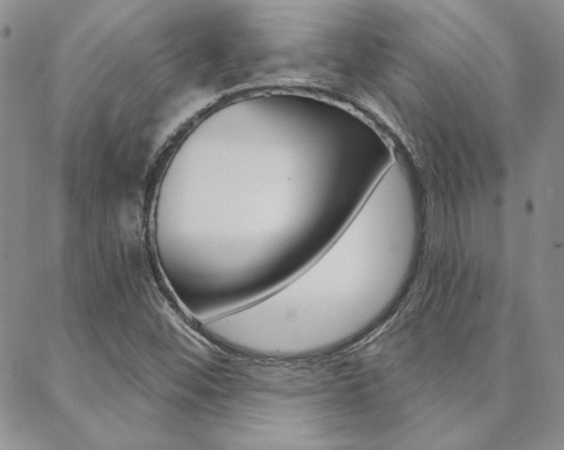 X0000088851452200706080713