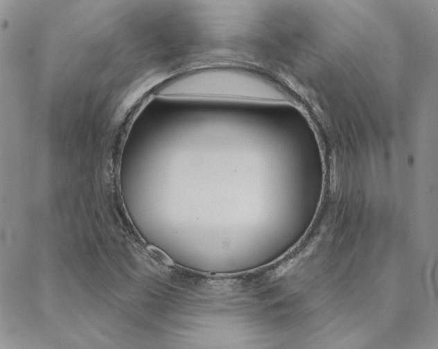 X0000088851453200706080713