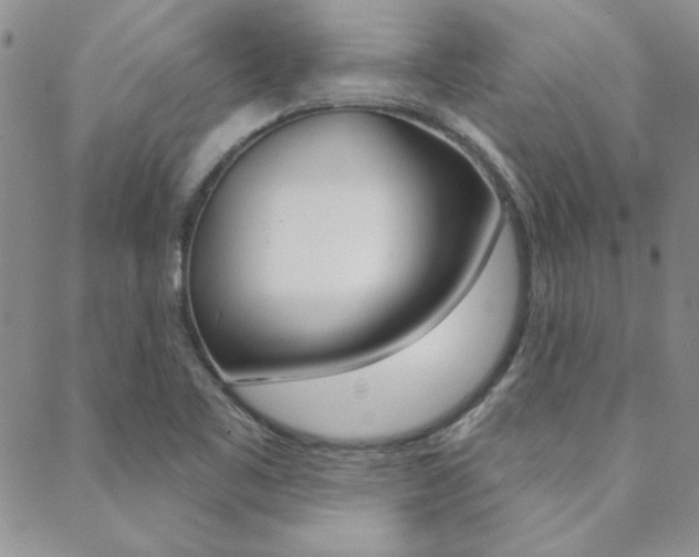 X0000088851461200706080713
