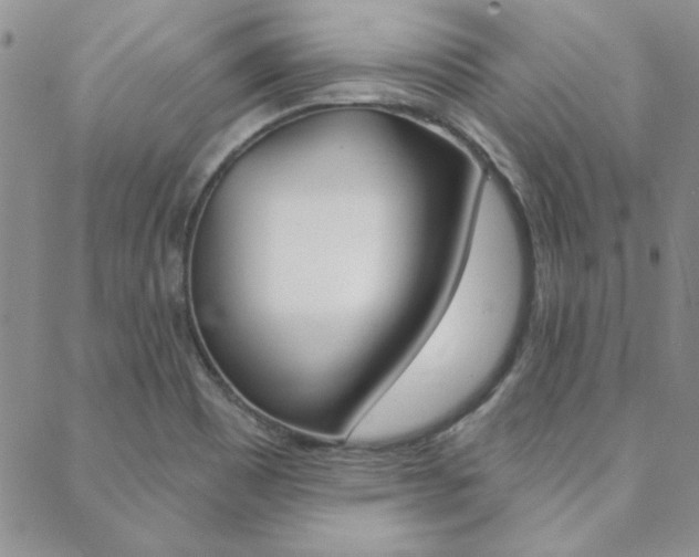 X0000088851465200706080713