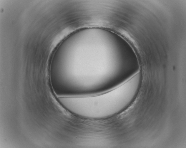X0000088851469200706080713