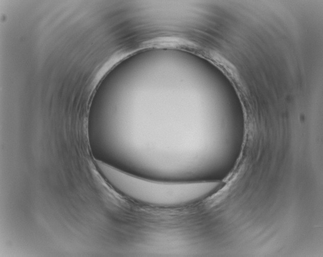 X0000088851473200706080713