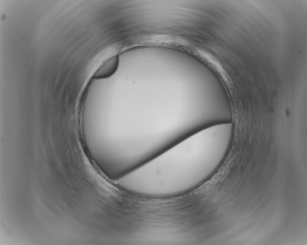 X0000088851475200706080713