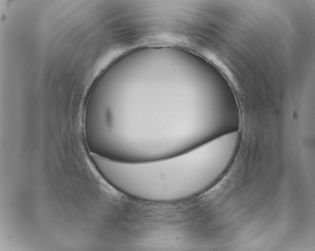 X0000088851477200706080713