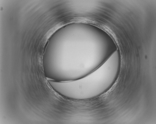 X0000088851481200706080713