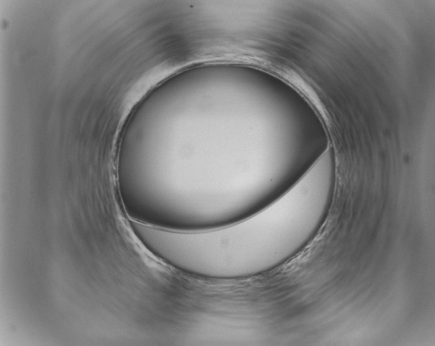 X0000088851485200706080713