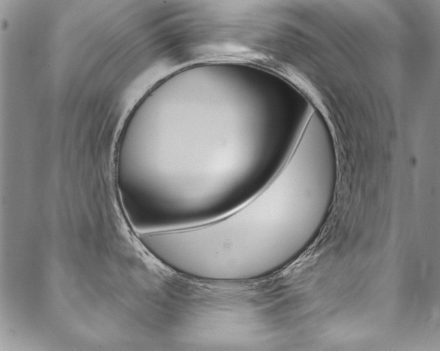 X0000088851488200706080713