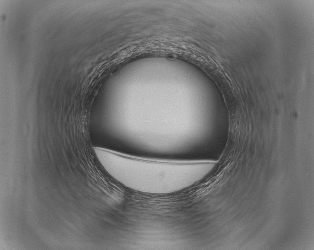X0000088851490200706080712