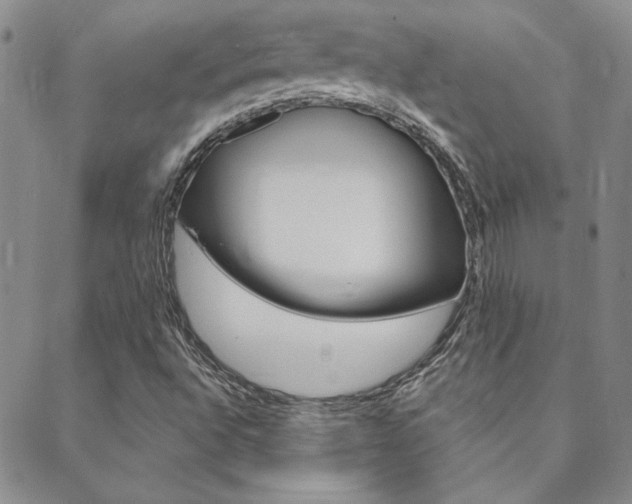 X0000088851496200706080712