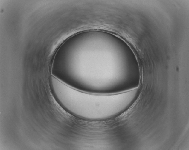 X0000088851500200706080712