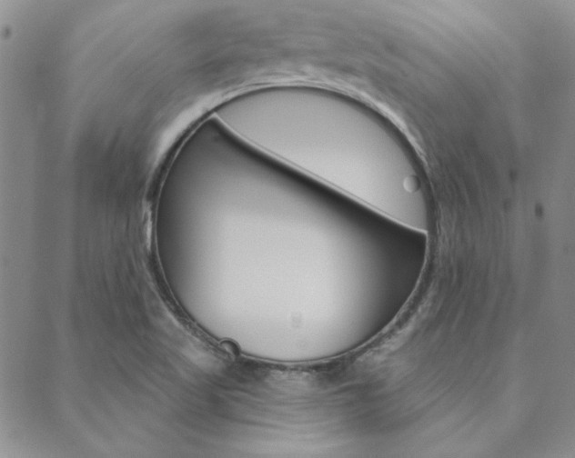 X0000088851509200706080712