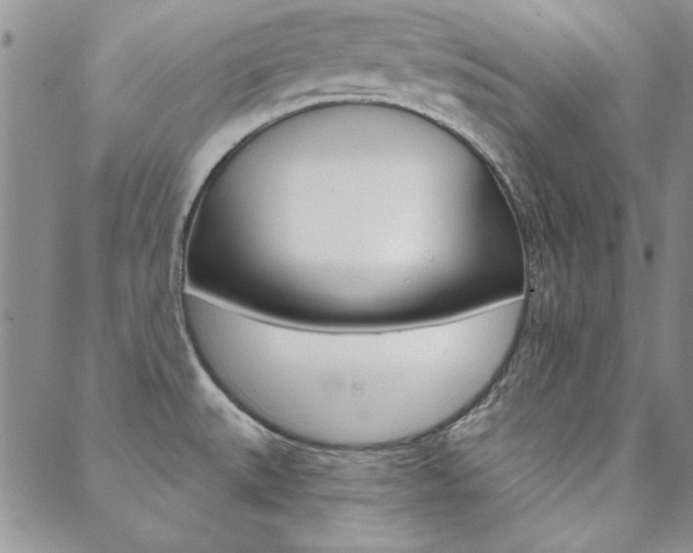 X0000088851527200706080712