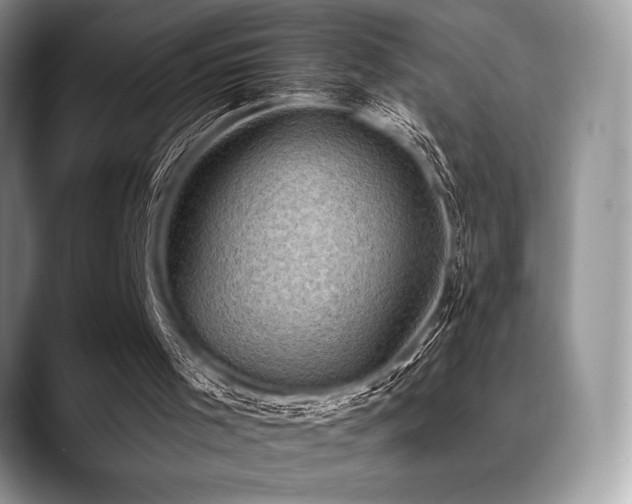 X0000088850001200706081143