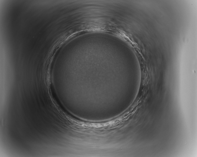 X0000088850002200706081143