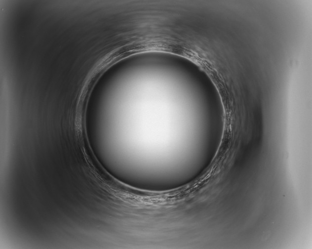X0000088850004200706081143