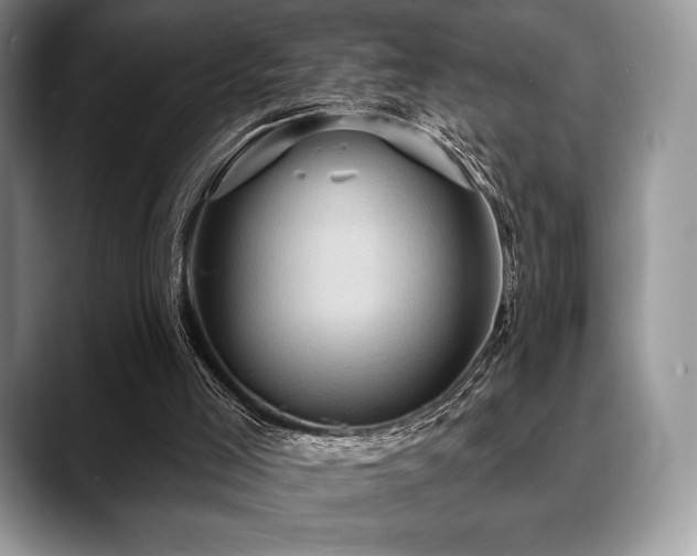 X0000088850005200706081143