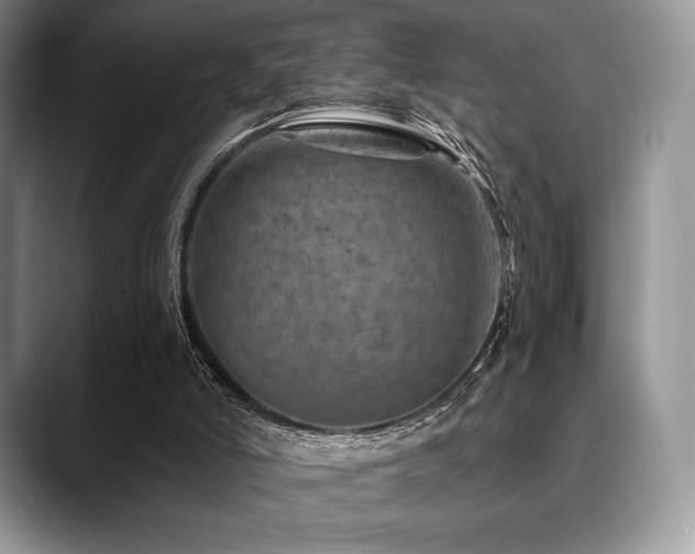 X0000088850006200706081143