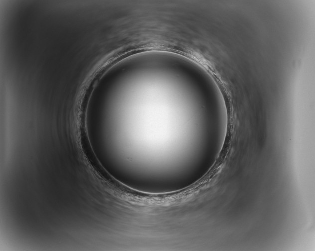 X0000088850007200706081143