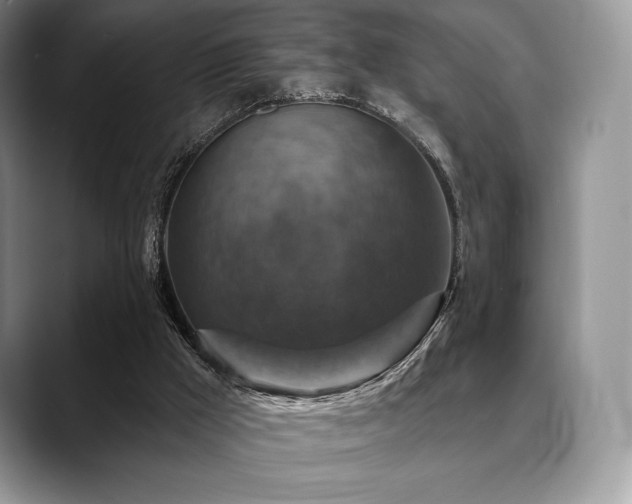 X0000088850009200706081143