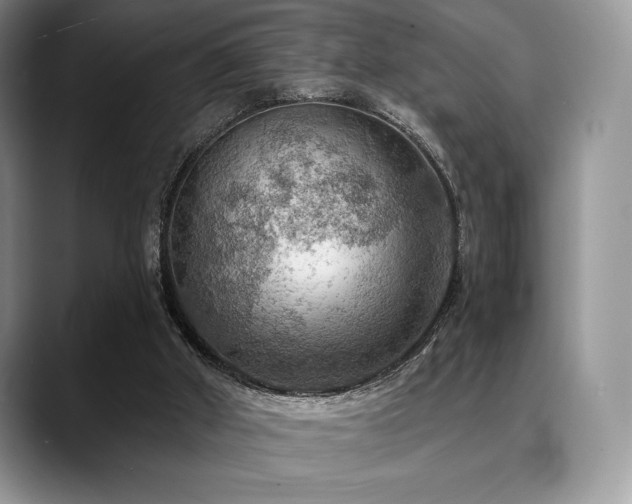X0000088850010200706081143