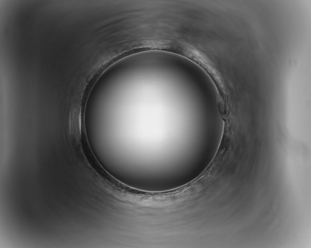 X0000088850011200706081143