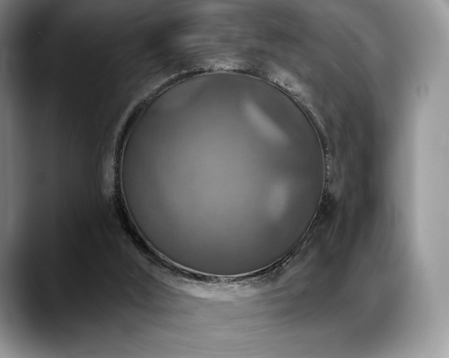 X0000088850012200706081143
