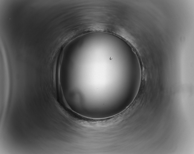 X0000088850013200706081143