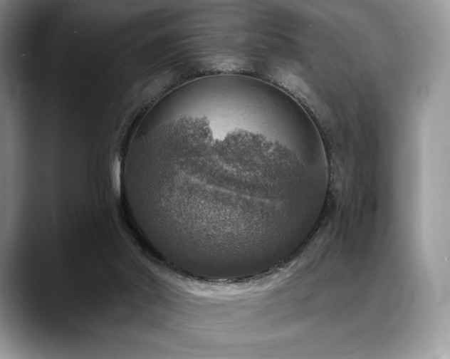X0000088850014200706081143