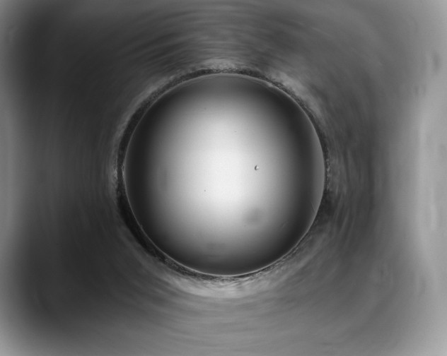 X0000088850015200706081143