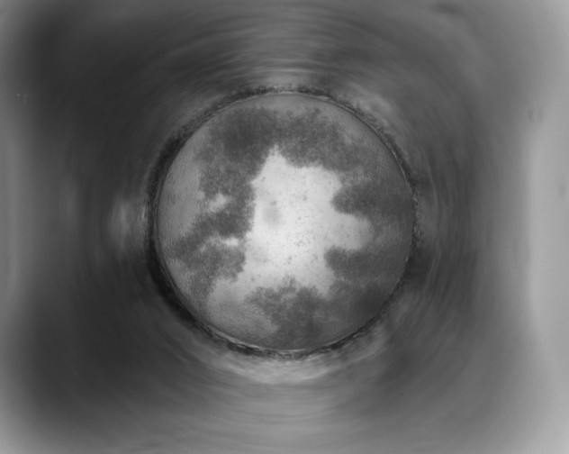 X0000088850016200706081143