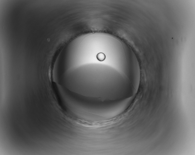 X0000088850019200706081143