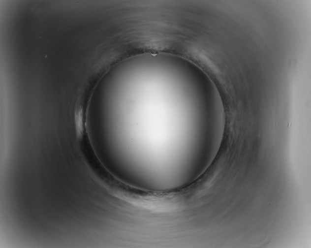 X0000088850020200706081143