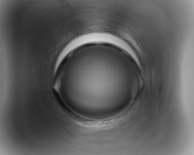 X0000088850023200706081143